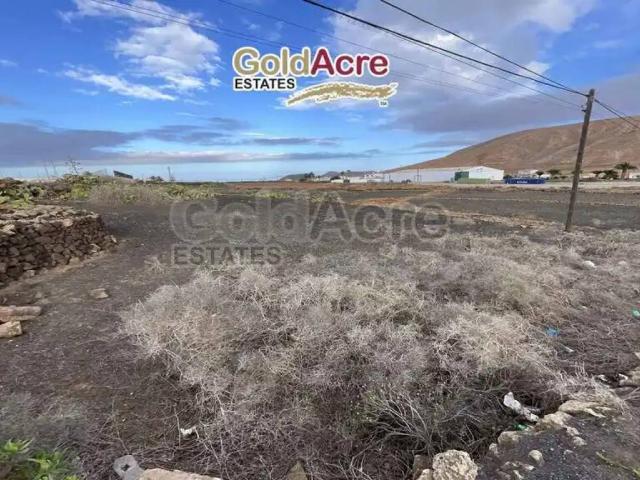 Terreno en Venta en La Oliva
