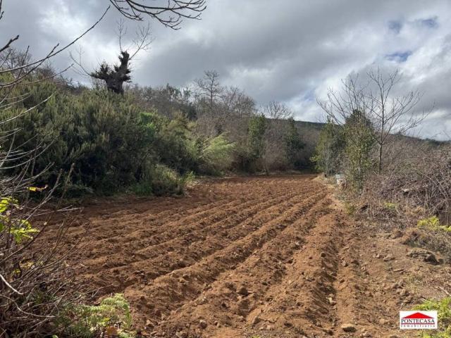 Terreno en Venta en La Orotava