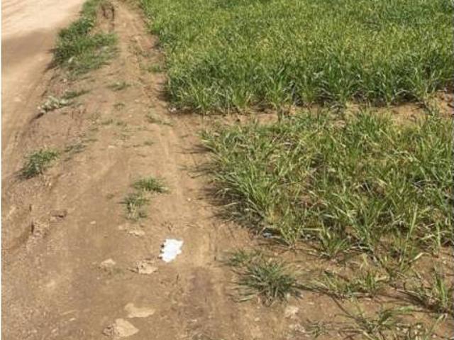 Terreno en Venta en La Bisbal d'Empordà