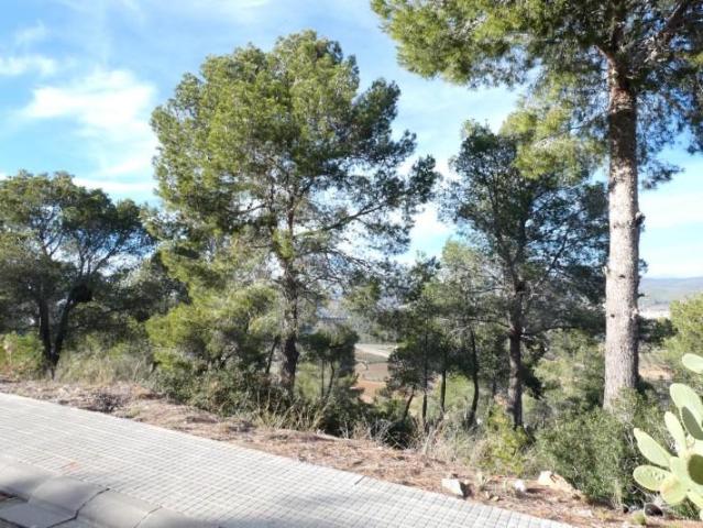 Terreno en venta en la Bisbal del Penedès, De La Bisbal del Penedès LA MIRALBA
