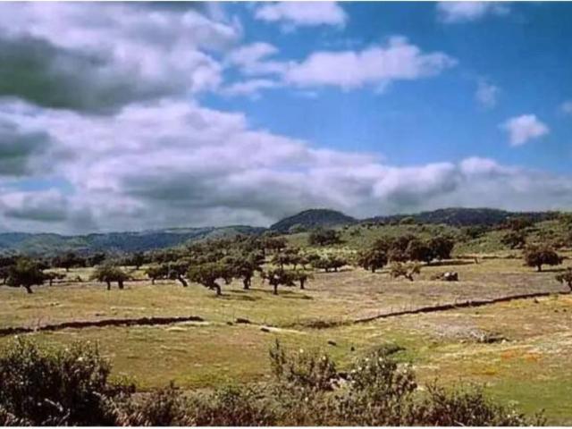 Terreno en Venta en La Carolina