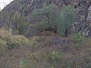Terreno en Venta en La Cañada, el Marqués Terreno conurbado con la ciudad de Querétaro
