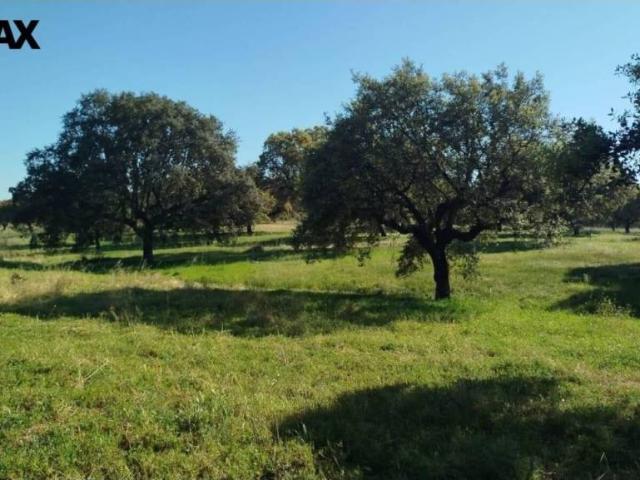 Terreno en Venta en La Codosera