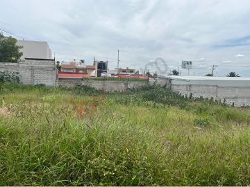 Terreno en venta en la colonia campestre italiana queretaro qro