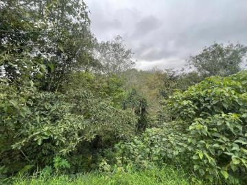 Terreno en venta en la colonia Bella Vista
