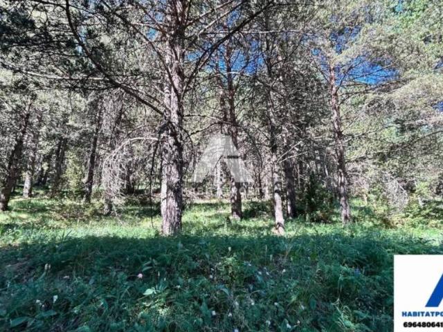 Terreno en Venta en La Coma i la Pedra