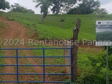 Terreno en Venta en La Concepcion, Pocri
