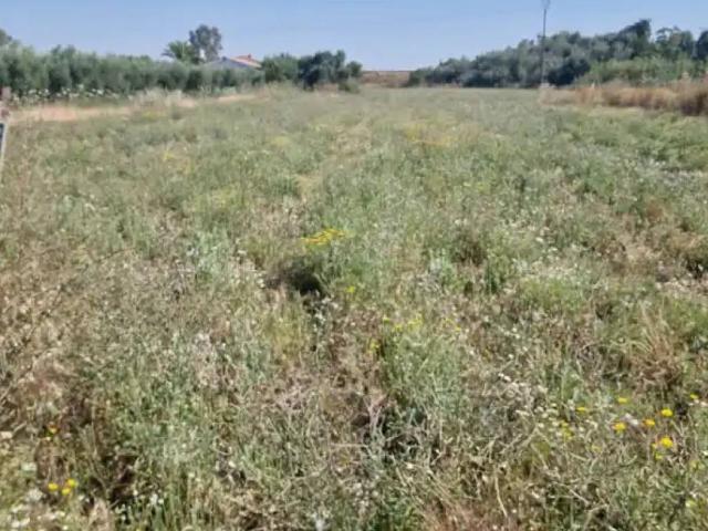 Terreno en Venta en La Coronada