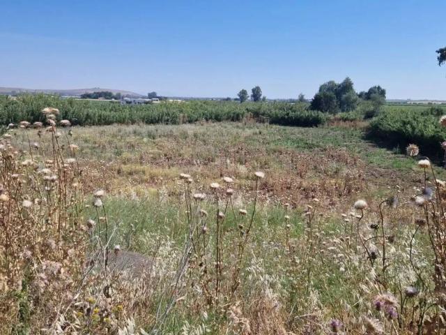 Terreno en Venta en La Coronada