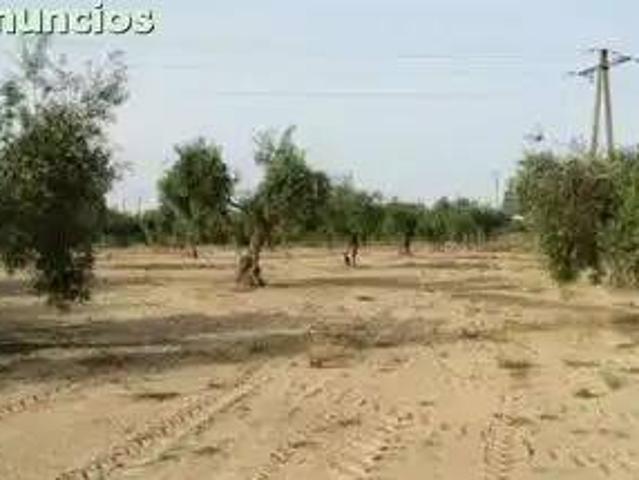 Terreno en Venta en La Coronada