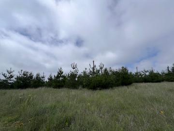 Terreno en venta en La Cruz, Amealco de Bonfil, Querétaro