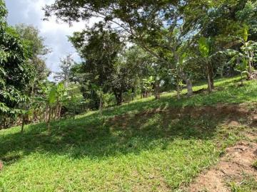 Terreno en venta en La Estanzuela