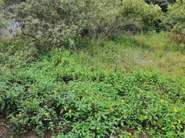 Terreno en Venta en La Estanzuela
