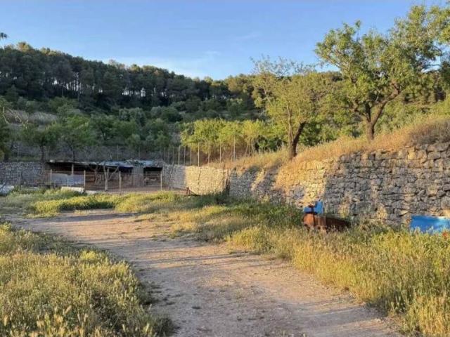 Terreno en Venta en La Fatarella