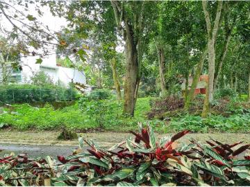 Terreno en venta en La Florida, Coatepec, Veracruz de Ignacio de la Llave