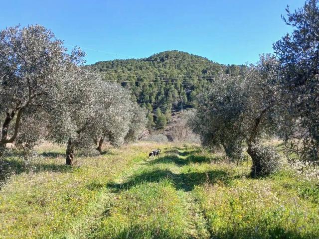 Terreno en Venta en La Fresneda