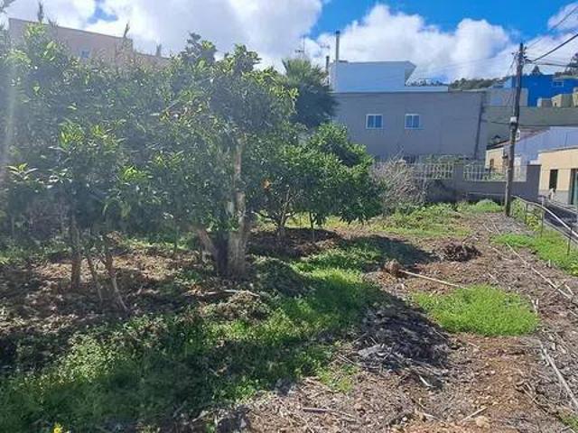 Terreno en Venta en La Guancha