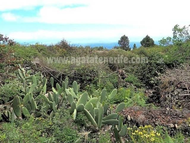 Terreno en Venta en La Guancha