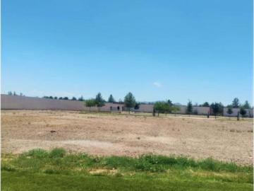 Terreno en venta en La Gran Vinícola, Gómez Palacio, Durango