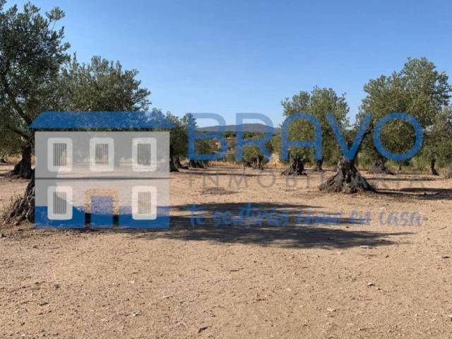 Terreno en Venta en La Haba