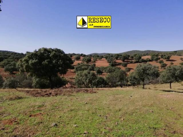 Terreno en Venta en La Haba