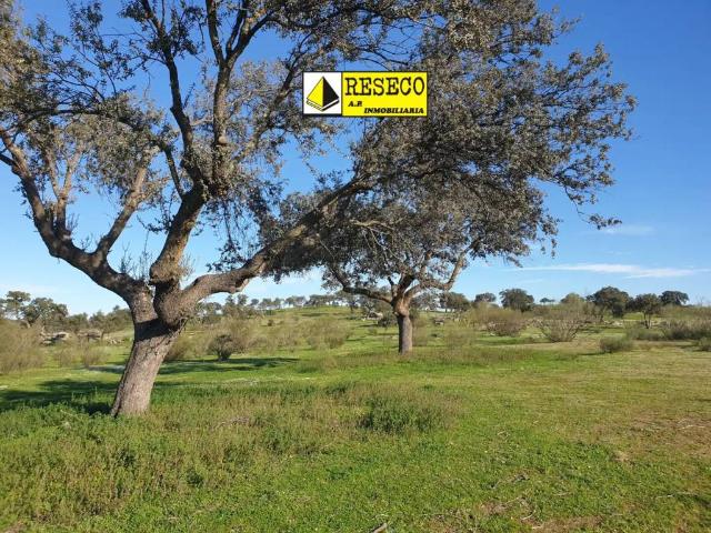 Terreno en Venta en La Haba