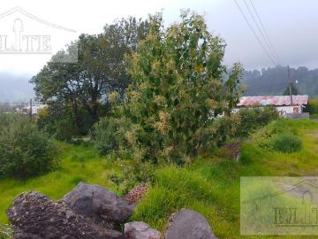 Terreno en venta en La Joya Chica, Acajete, Veracruz de Ignacio de la Llave