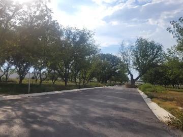Terreno en venta en La Joya, Arteaga, Coahuila de Zaragoza