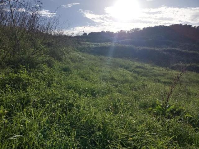 Terreno en venta en La Laguna, Camino Gonzalianez, 38293