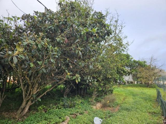 Terreno en venta en La Laguna, San Cristóbal de La Laguna