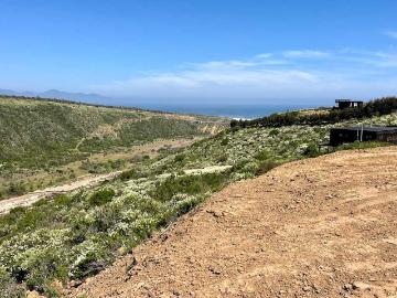 Terreno en Venta en La Ligua