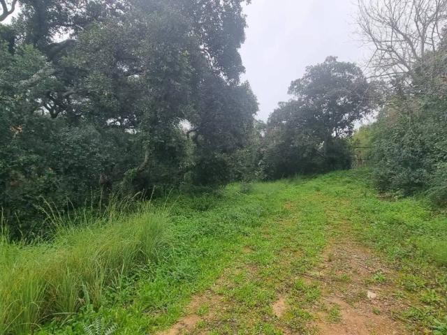 Terreno en Venta en La Línea de la Concepción