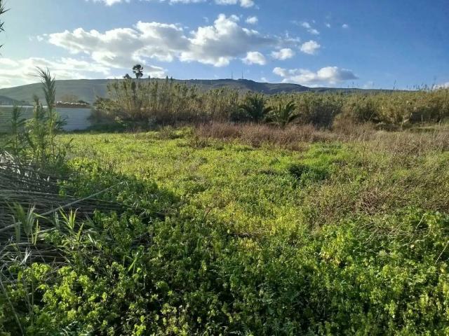 Terreno en Venta en La Línea de la Concepción
