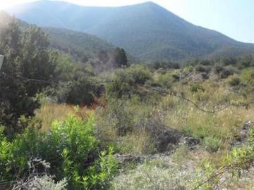 Terreno en venta en La Purísima, Arteaga, Coahuila de Zaragoza