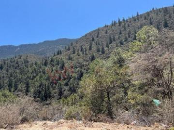 Terreno en Venta en La Purisima Arteaga Gran Oportunidad