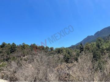 Terreno en Venta en La Purisima Arteaga Gran Oportunidad