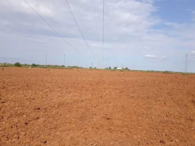 Terreno en Venta en La Palma del Condado