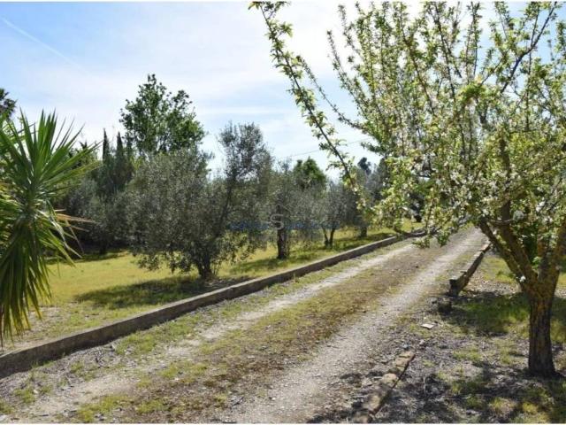 Terreno en Venta en La Palma del Condado