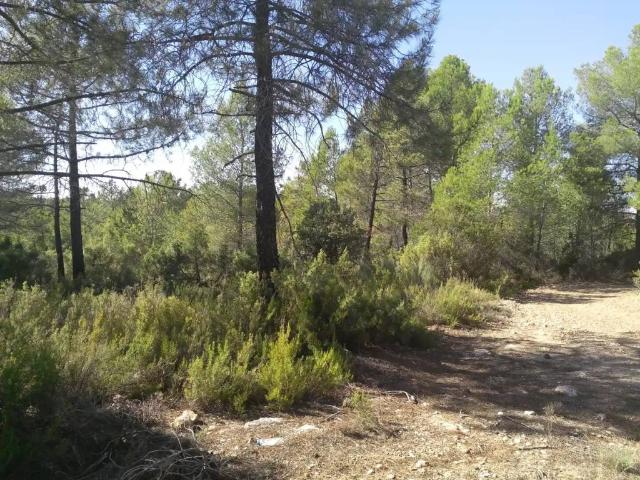 Terreno en Venta en La Pesquera