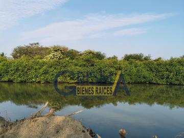 TERRENO EN VENTA EN LA PLAYA FRENTE AL ESTERO
