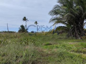 TERRENO EN VENTA EN LA PLAYA UBICADO EN BARRA GALINDO, VERACRUZ