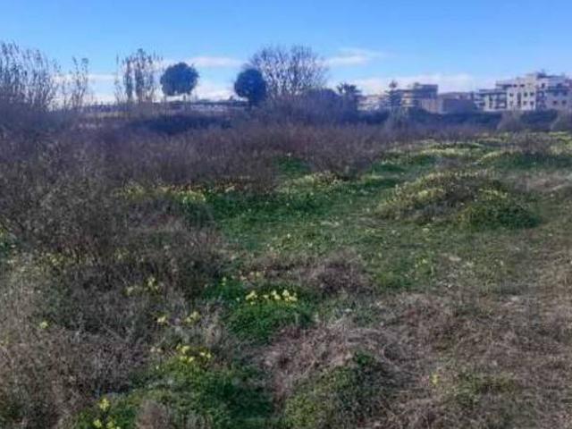 Terreno en Venta en La Pobla de Farnals