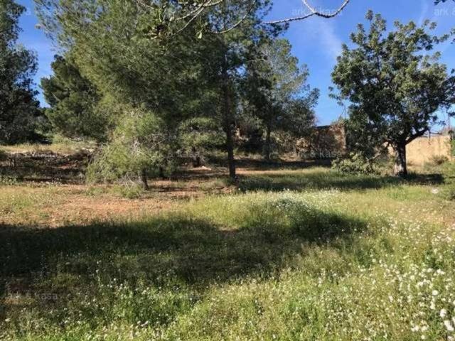 Terreno en Venta en La Pobla de Vallbona