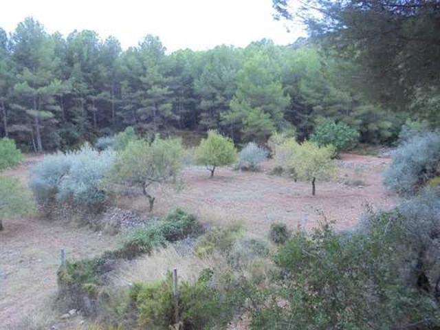Terreno en Venta en La Pobla Tornesa