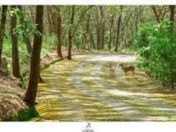 Terreno en venta en la reserva de los encinos