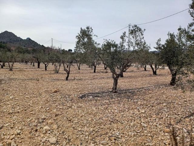 Terreno en venta en La Romana