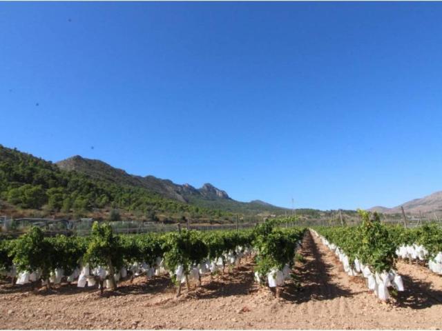 Terreno en Venta en La Romana