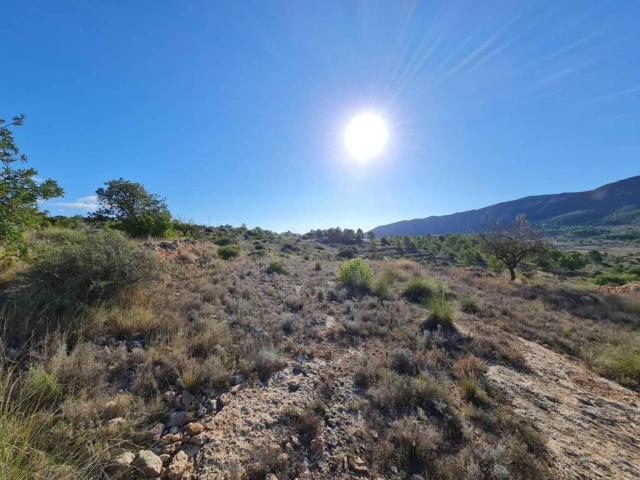 Terreno en Venta en La Romana