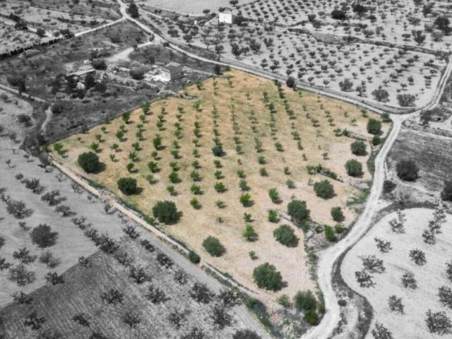 Terreno en Venta en La Romana