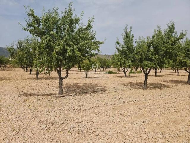 Terreno en Venta en La Romana
